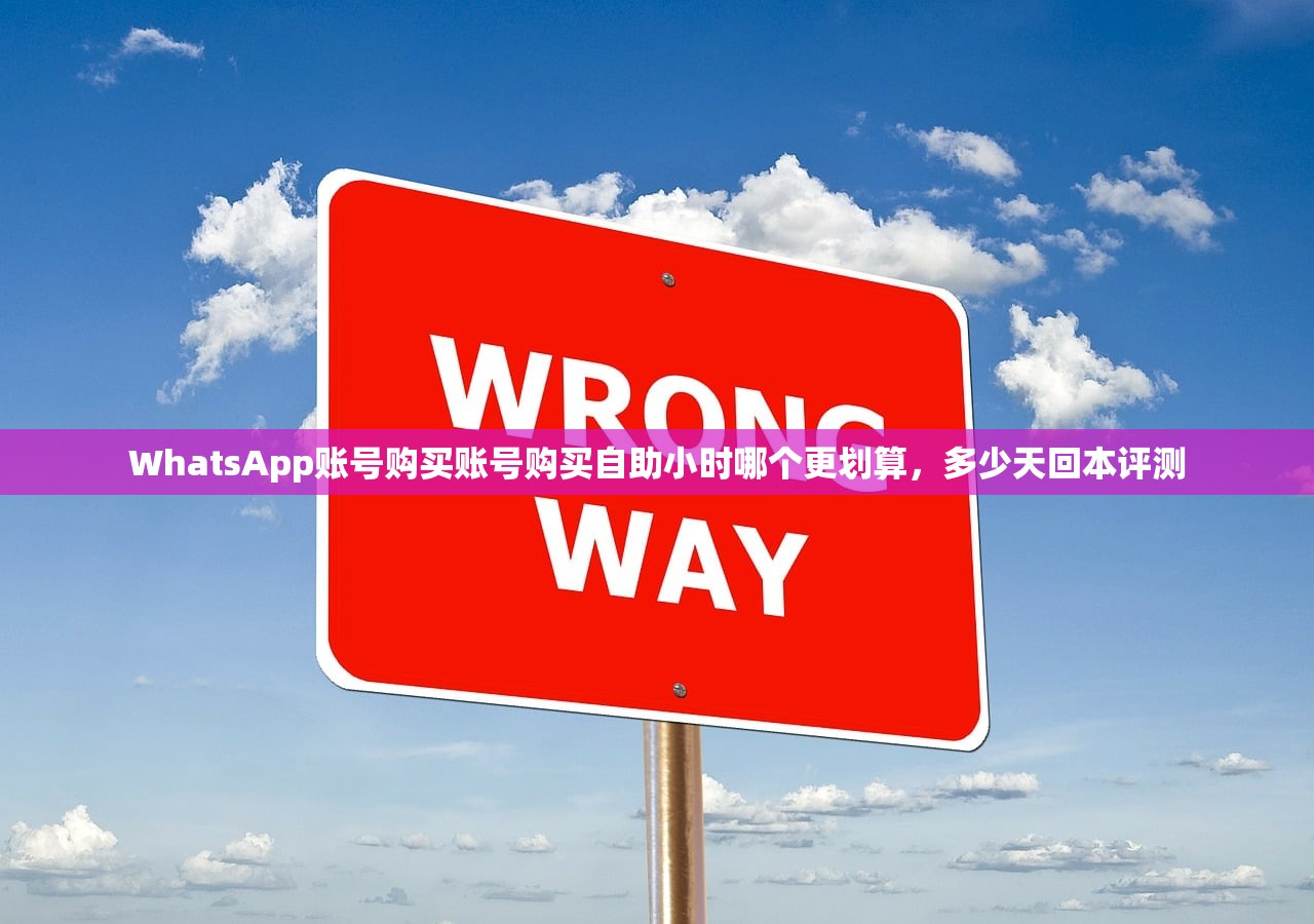 WhatsApp账号购买账号购买自助小时哪个更划算,多少天回本评测