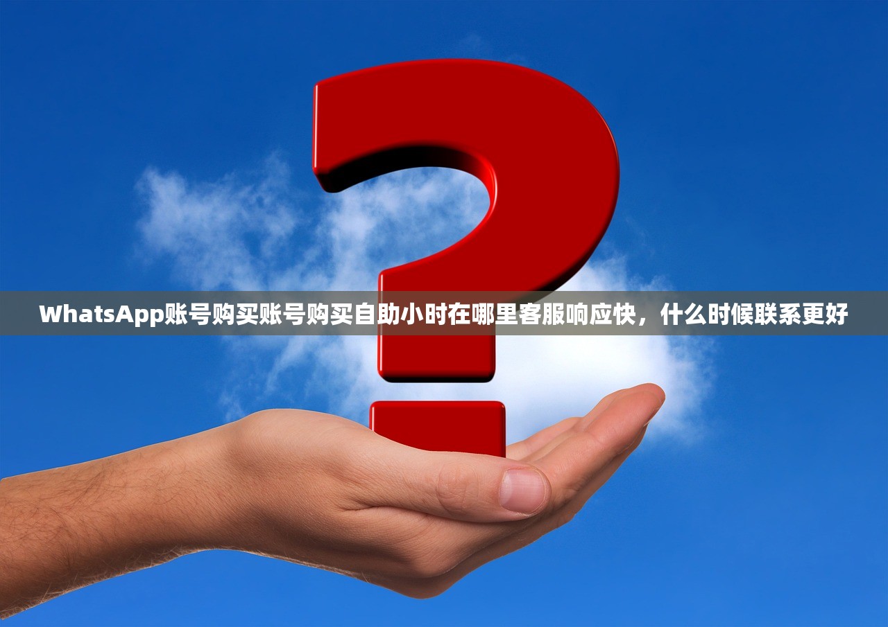 WhatsApp账号购买账号购买自助小时在哪里客服响应快,什么时候联系更好