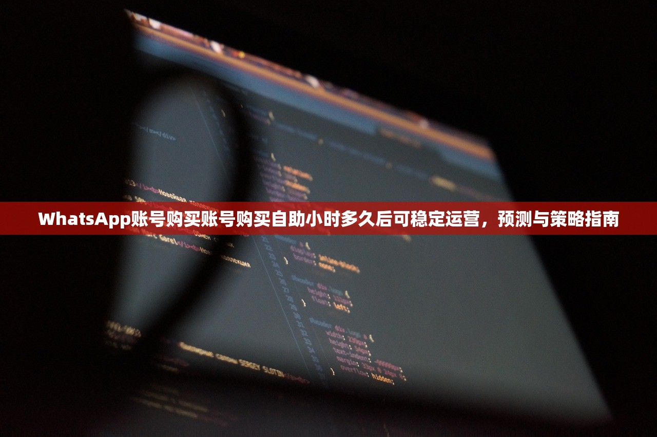 WhatsApp账号购买账号购买自助小时多久后可稳定运营，预测与策略指南