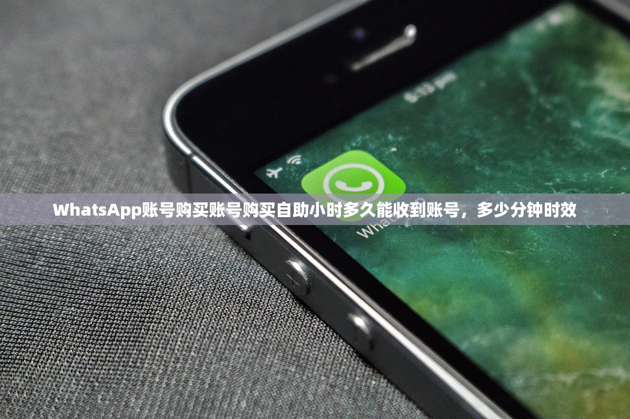 WhatsApp账号购买账号购买自助小时多久能收到账号，多少分钟时效