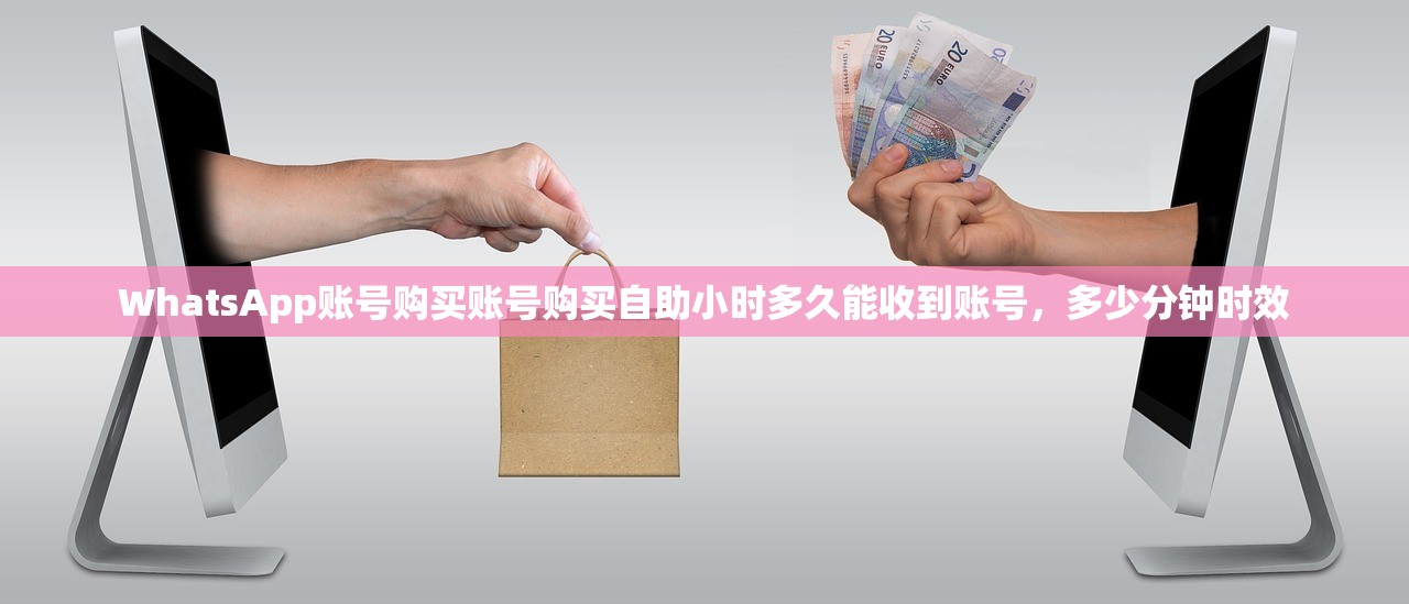 WhatsApp账号购买账号购买自助小时多久能收到账号,多少分钟时效