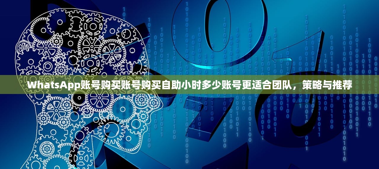 WhatsApp账号购买账号购买自助小时多少账号更适合团队，策略与推荐