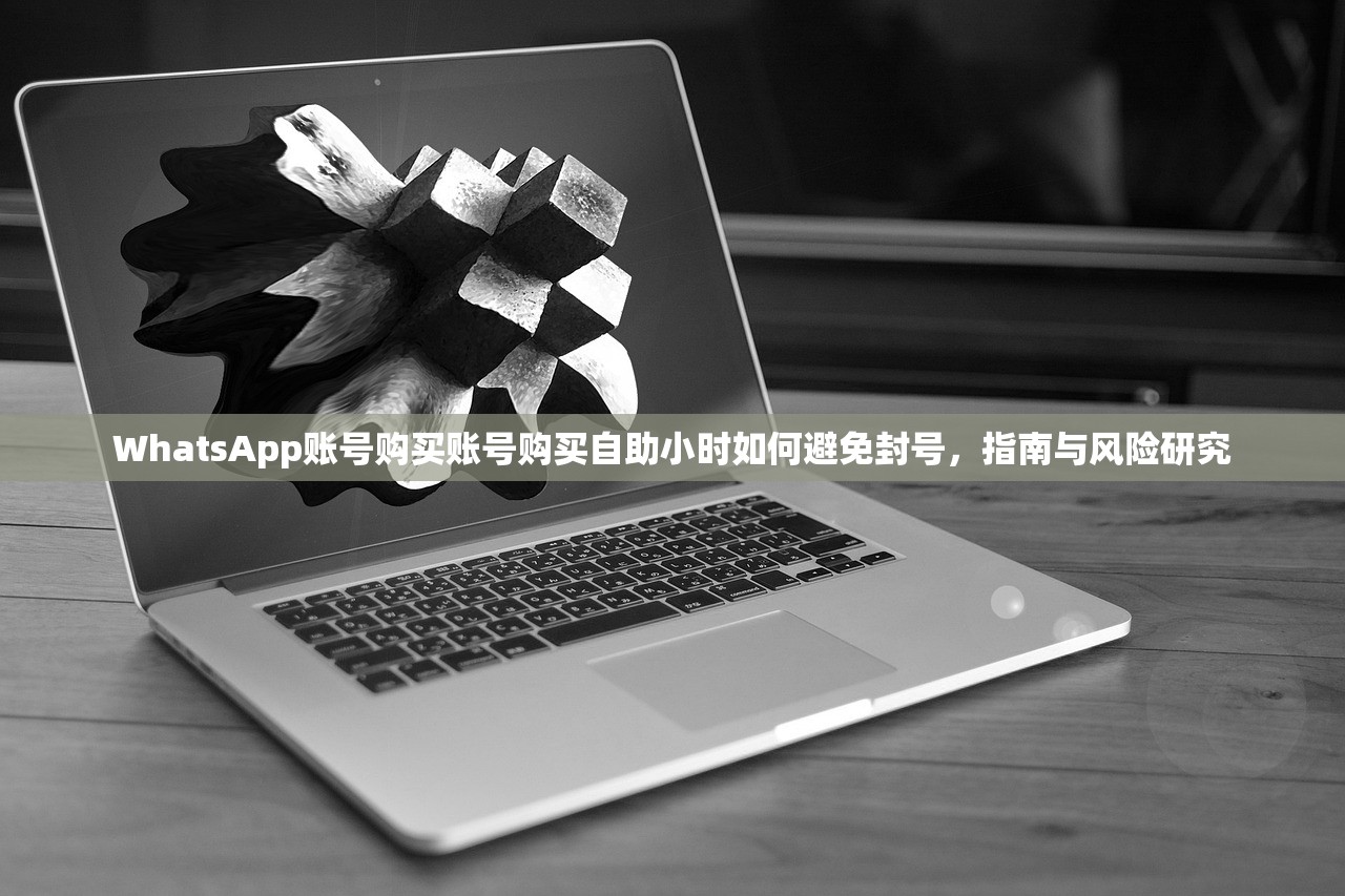 WhatsApp账号购买账号购买自助小时如何避免封号，指南与风险研究