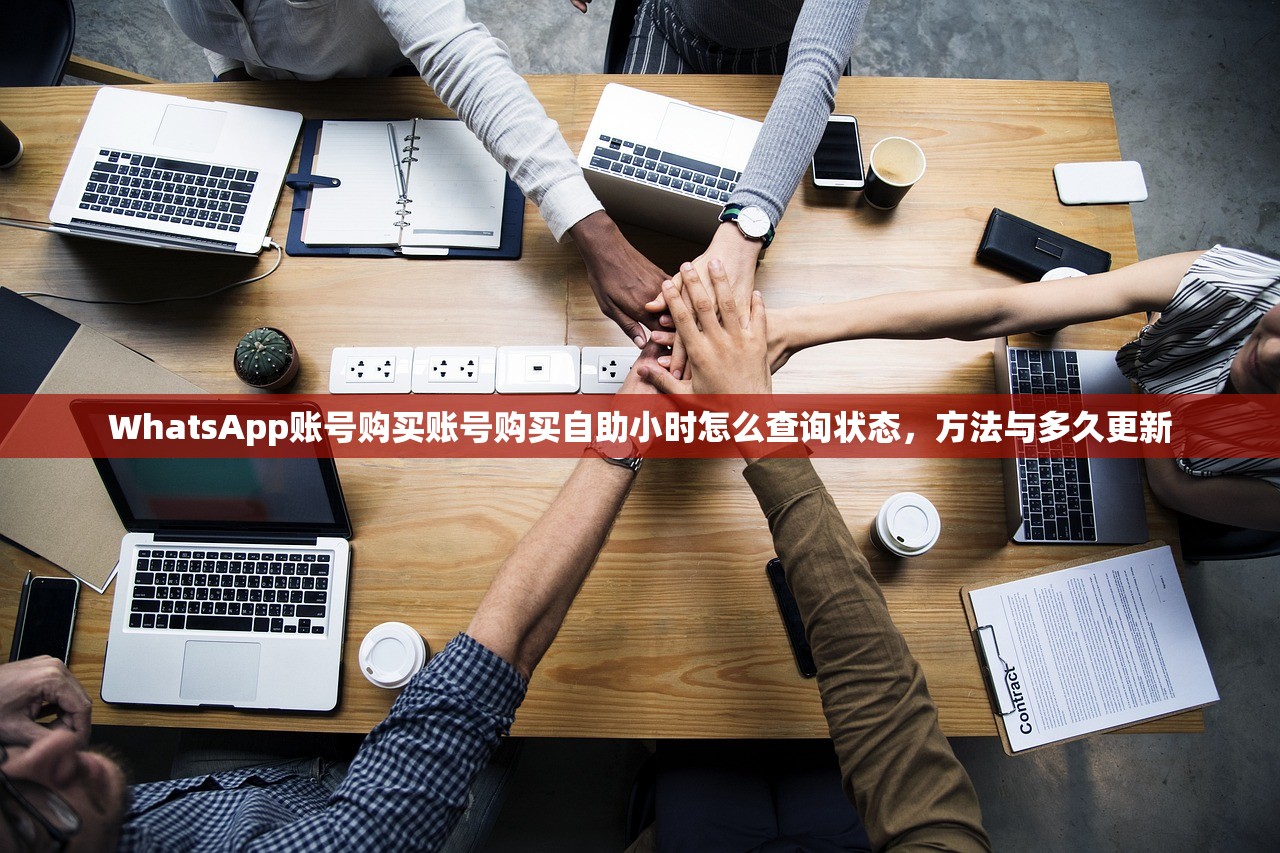 WhatsApp账号购买账号购买自助小时怎么查询状态,方法与多久更新