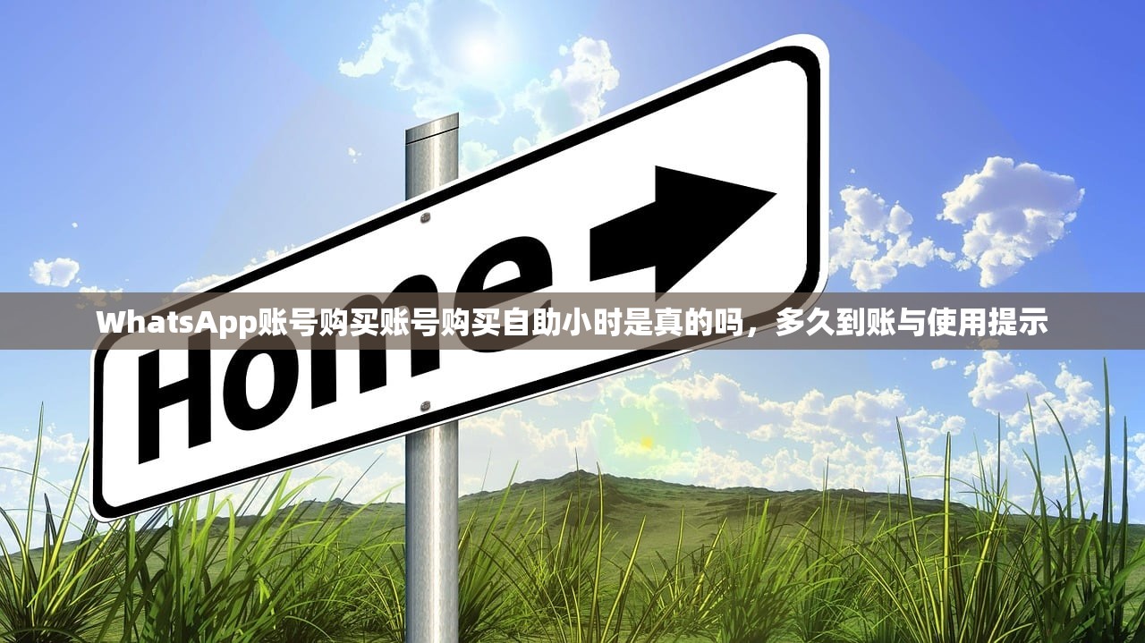 WhatsApp账号购买账号购买自助小时是真的吗,多久到账与使用提示