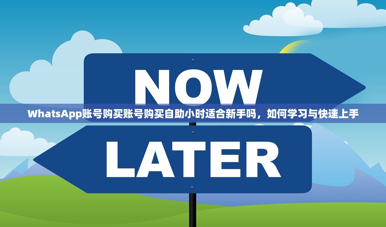 WhatsApp账号购买账号购买自助小时适合新手吗,如何学习与快速上手