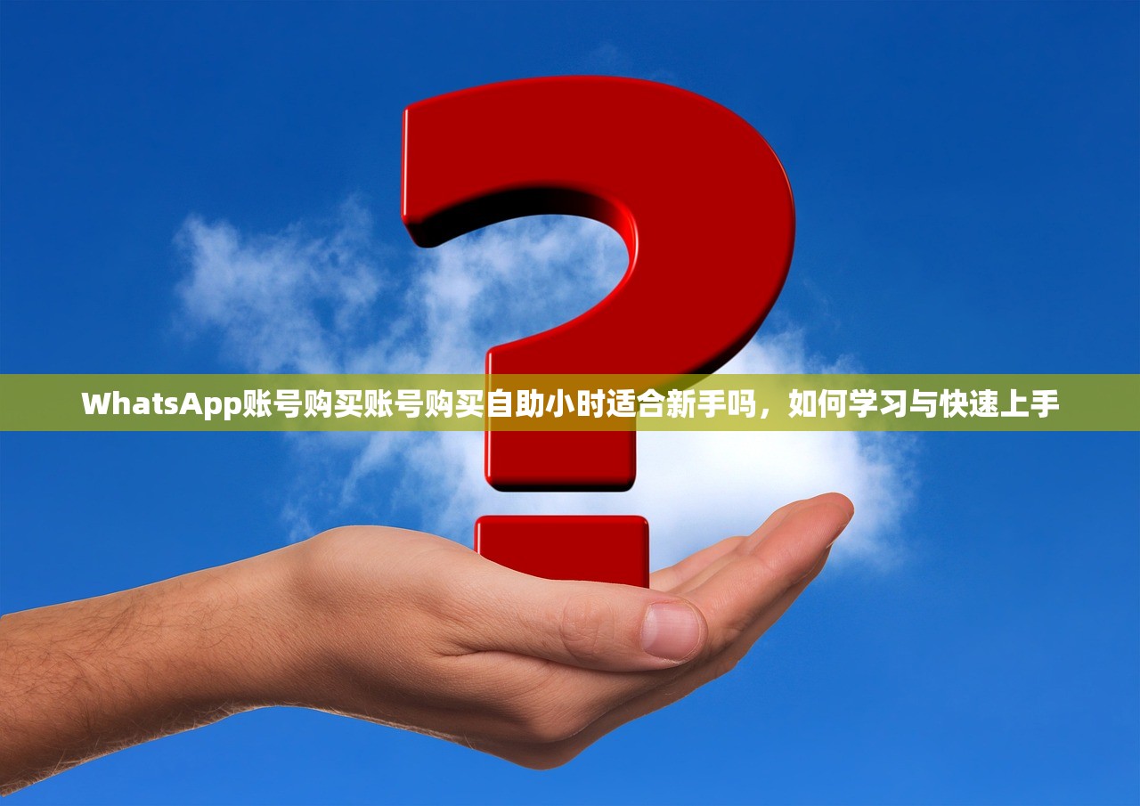 WhatsApp账号购买账号购买自助小时适合新手吗,如何学习与快速上手
