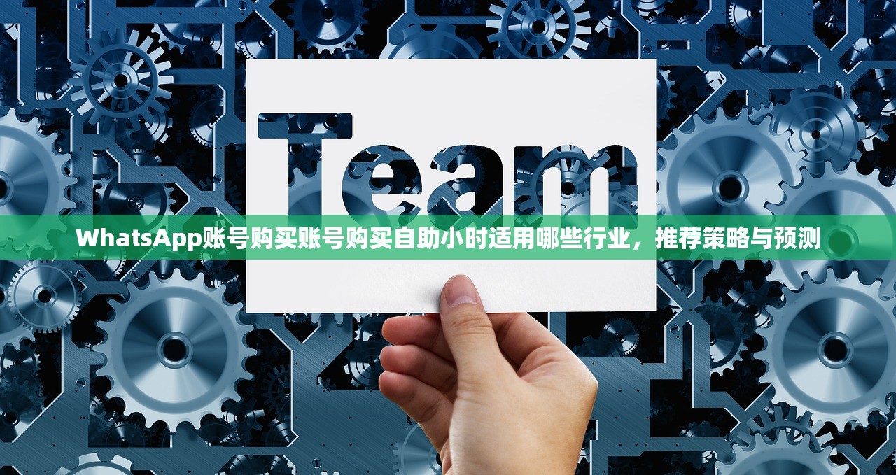 WhatsApp账号购买账号购买自助小时适用哪些行业，推荐策略与预测